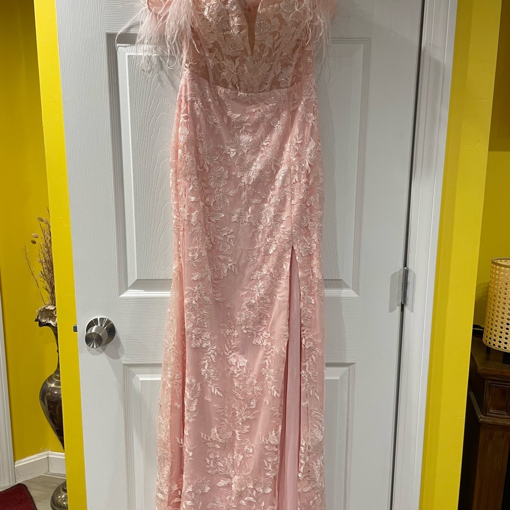Elegant Pink Lace Gown with Feather Details